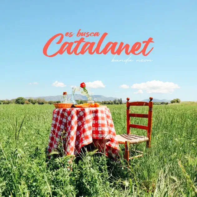 Portada de Es busca catalanet